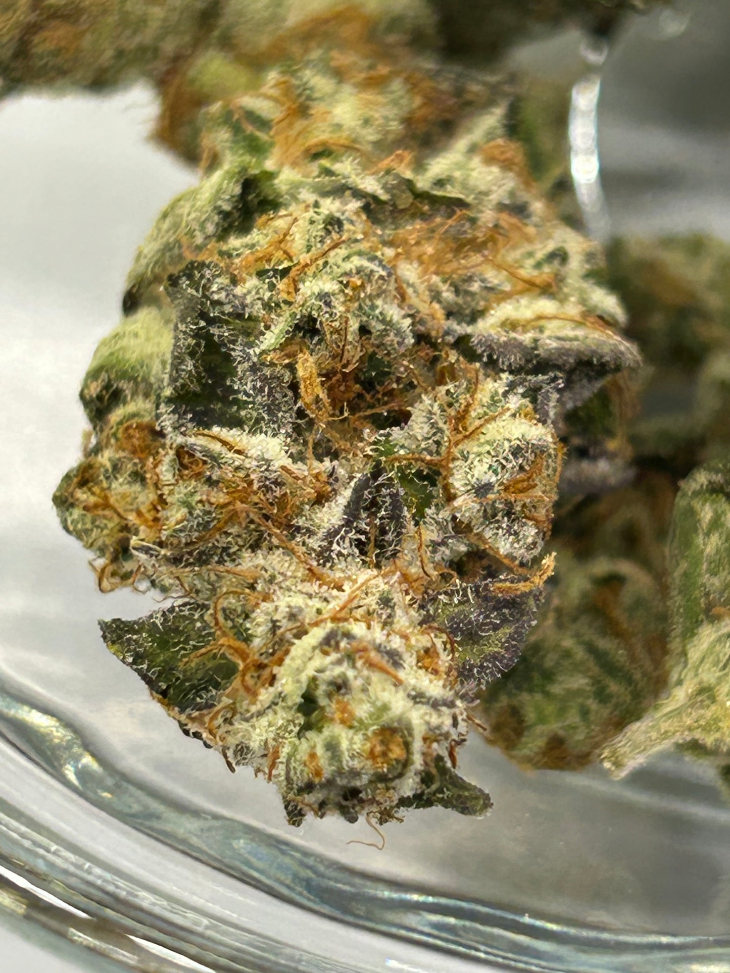 Organic Hawaiian Unicorn THCa Flower Caregiver Pharms Close Up Front