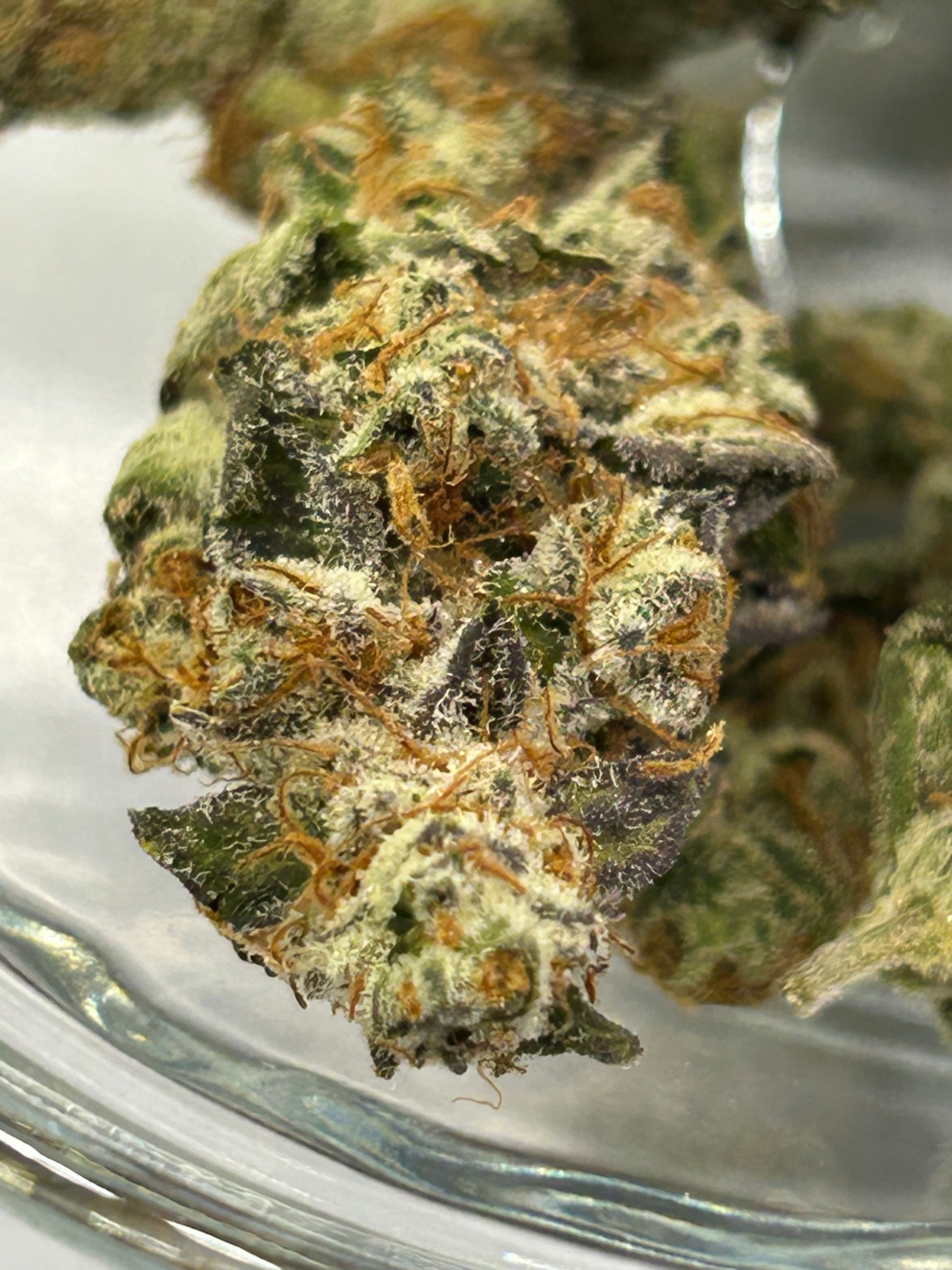 Organic Hawaiian Unicorn THCa Flower Caregiver Pharms Close Up Front