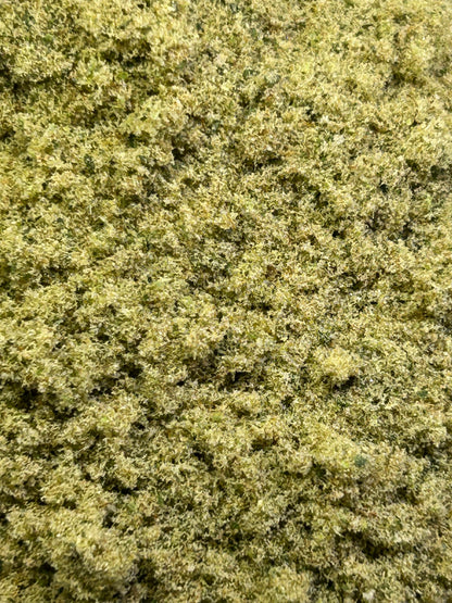 Organic Hawaiian Unicorn THCa Kief Trichomes Caregiver Pharms Zoom View