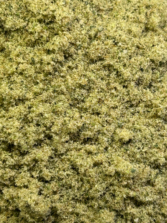 Organic Hawaiian Unicorn THCa Kief Trichomes Caregiver Pharms Zoom View