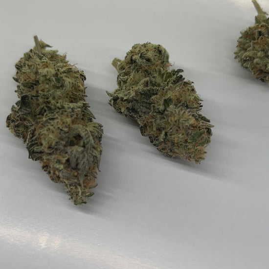 Blueberry Chem 23 THCa Hemp Flower Video