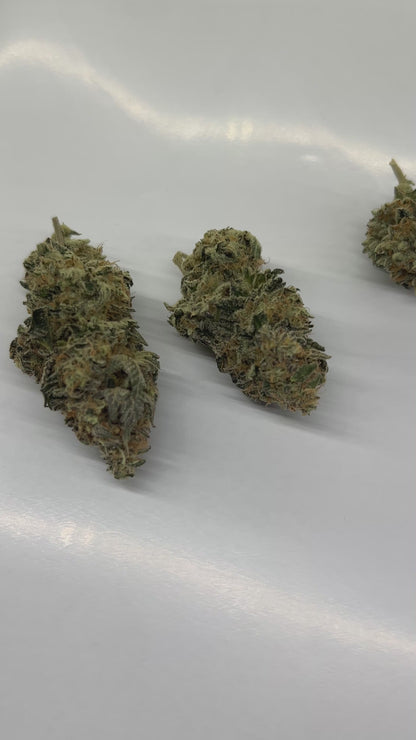 Blueberry Chem 23 THCa Hemp Flower Video