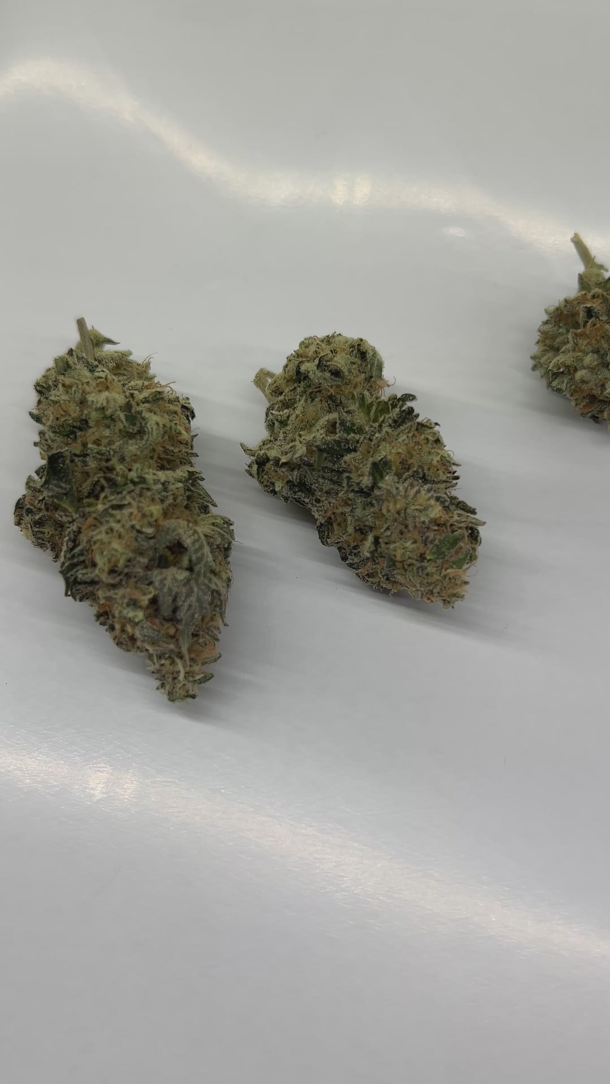 Blueberry Chem 23 THCa Hemp Flower Video