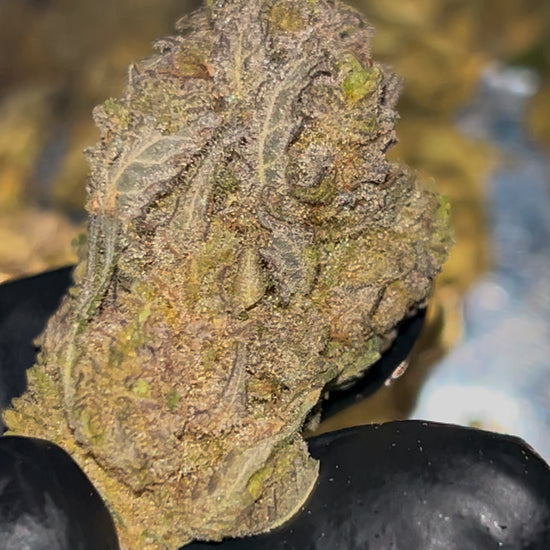 Insulin Shock THCa Flower