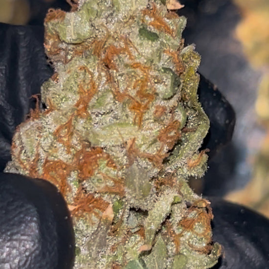Hawaiian Unicorn THCa Flower 