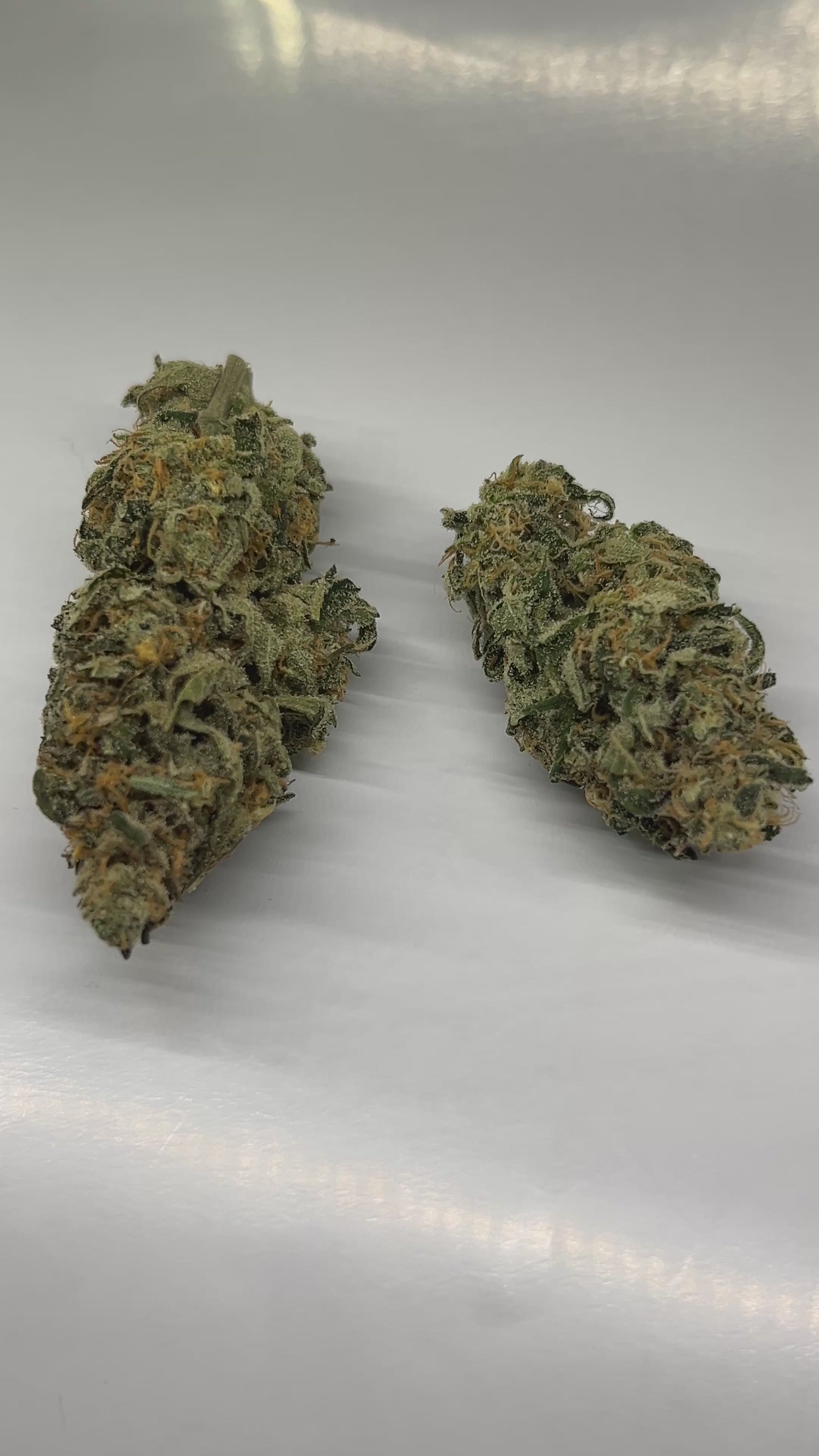 Dreamcatcher THCa Hemp Flower Video