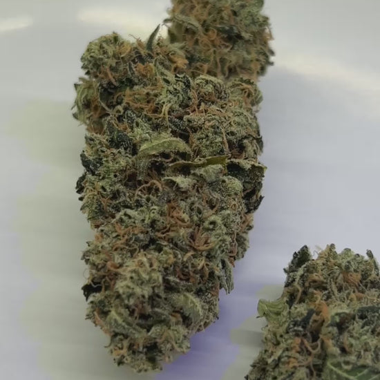 Blueberry Chem 7 THCa Hemp Flower Video