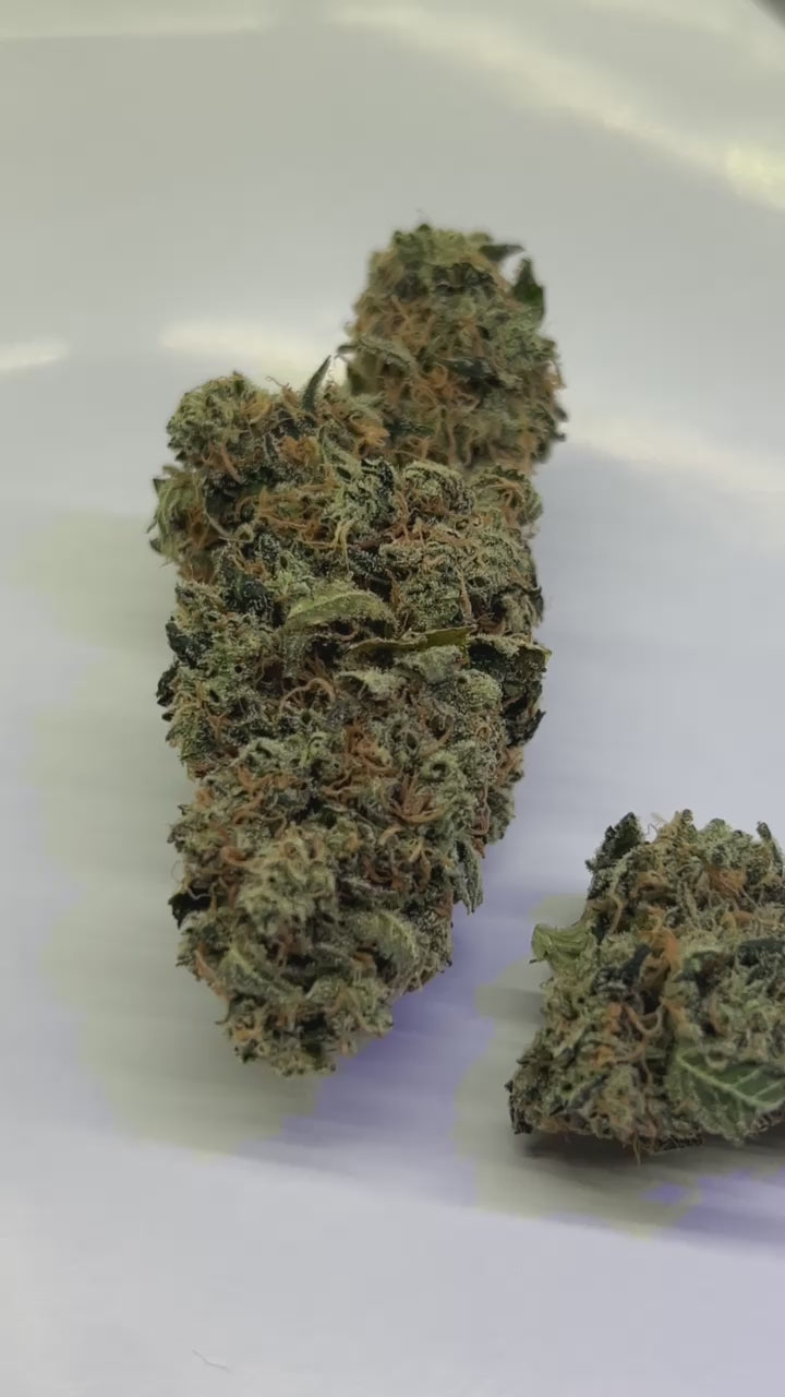 Blueberry Chem 7 THCa Hemp Flower Video